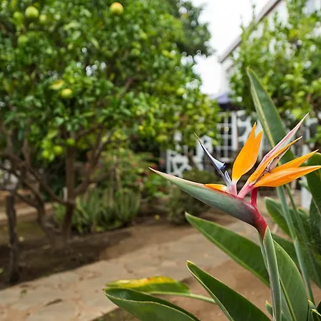 Lw Finca Valverde Del Aguila Villa