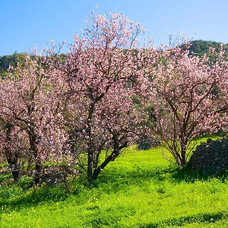 Lw Finca Valverde Del Aguila *